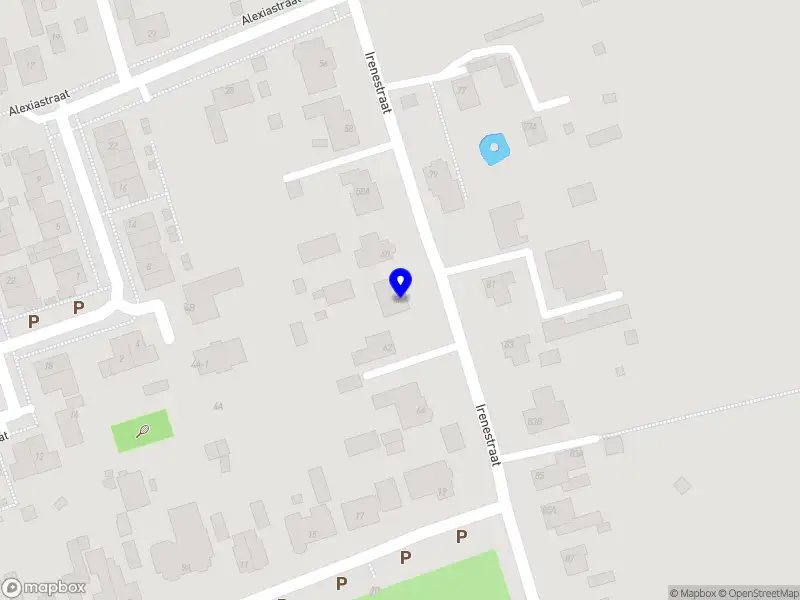 Elytra Neurodivergence