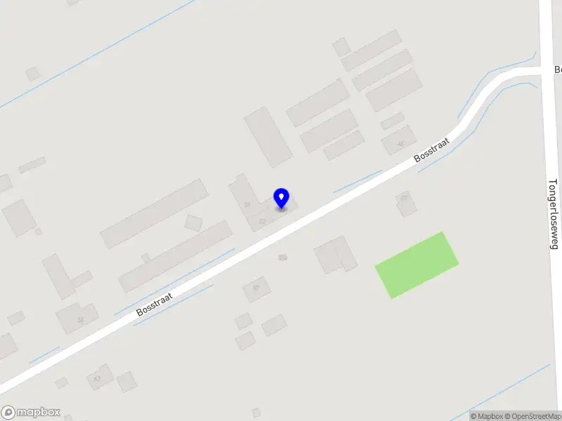 Forever Flowers by Roos