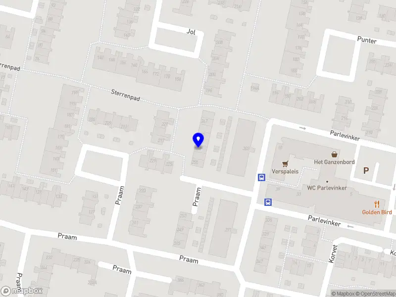 Identity Portrait Studio