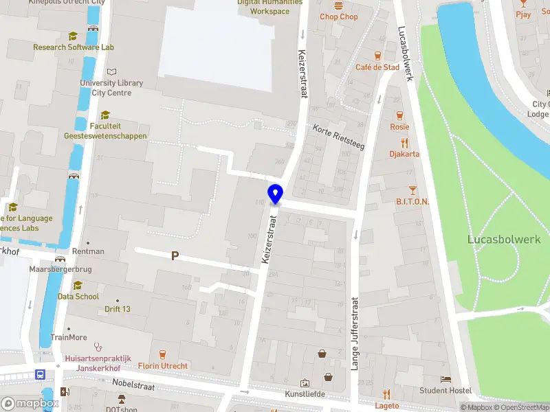 Dylan's Werkzame Wereld