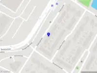 Autoservice de grijze gans