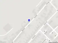 Bee on the Loose Creative Design