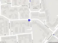 Trimsalon Dogs Delight