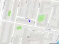 Zwarte Zwaan Handel