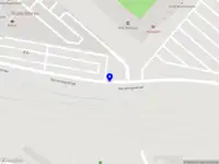 Business Mandarin NL