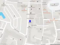 Hondenschool De otterstaarten and friends