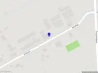 Forever Flowers by Roos