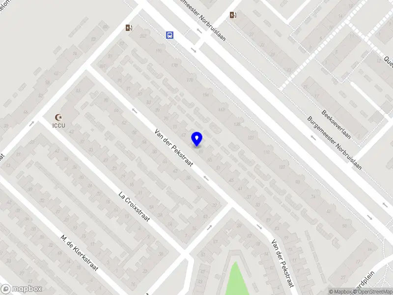 Ray Tangkau Systemisch Werker