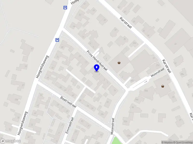 Van Lanen Montage service