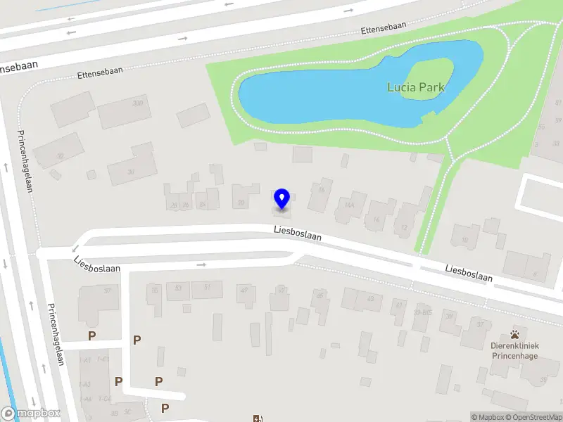 Antonissen Living B.V.