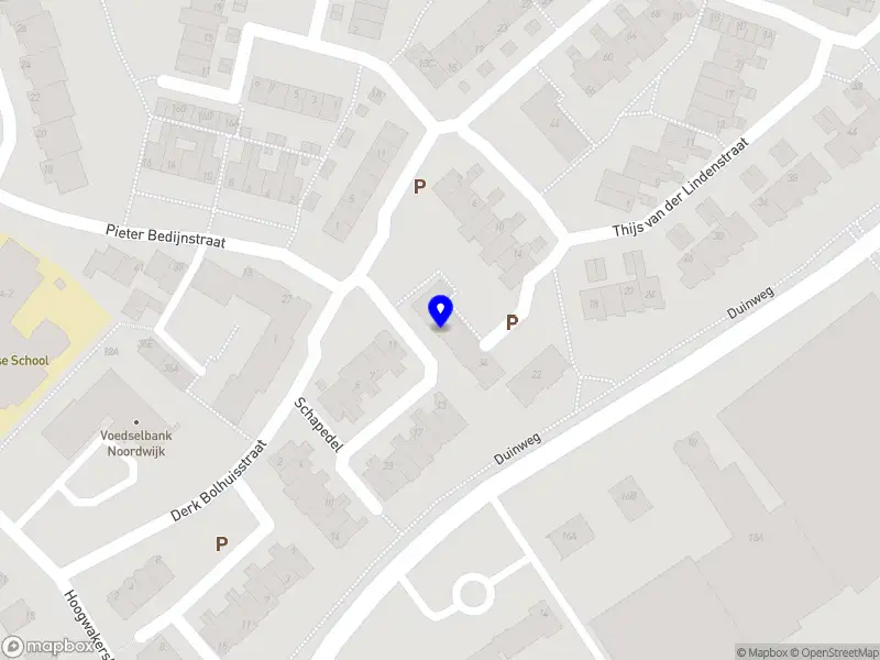 Mevrouw de Vakschilder