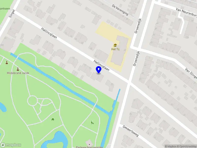 Boris training en advies