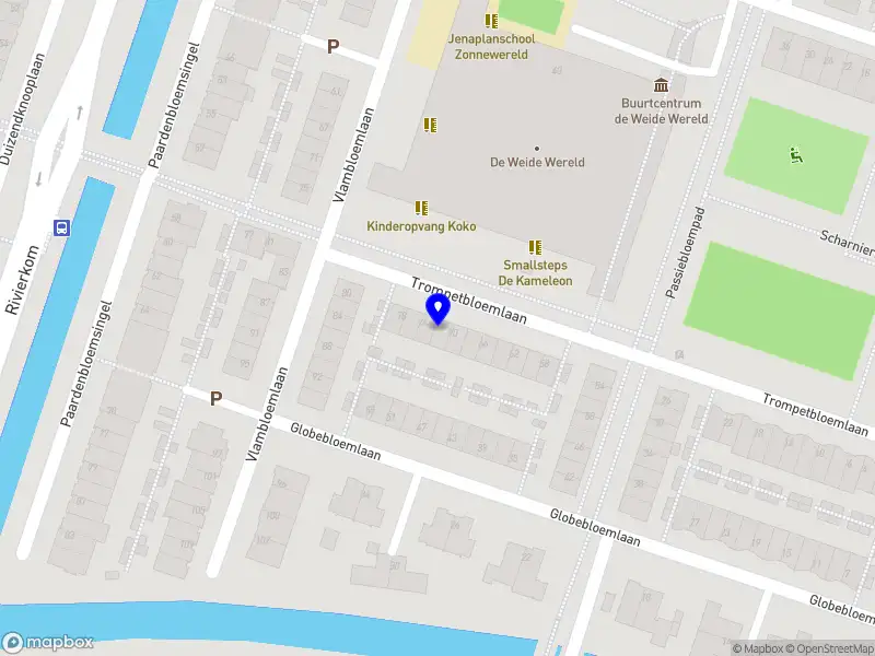 DAIL's Food & Entertainment