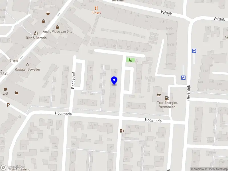 Pedicure Ramona vd Heuvel