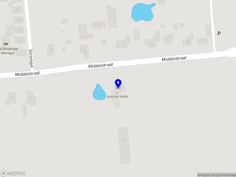 Nieuw bedrijf Brabant Netball Club