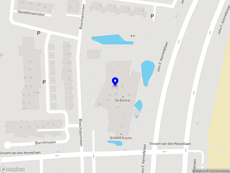 Mariia Smirnova Business Development