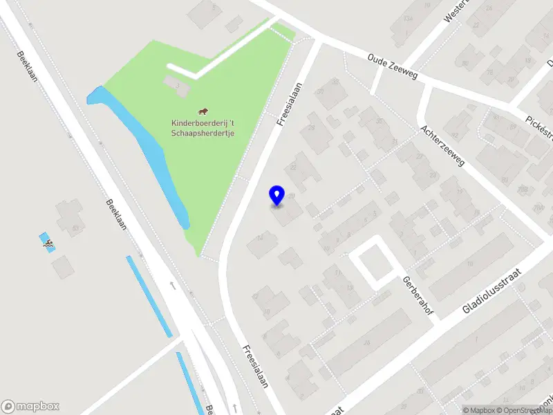 Regie op Projecten & Verkiezingen