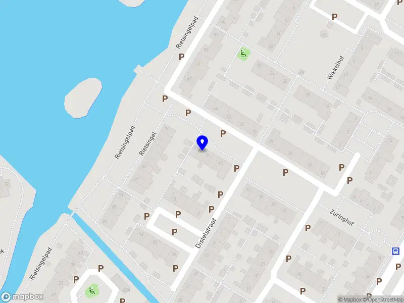 Ladies Night Vibes Events