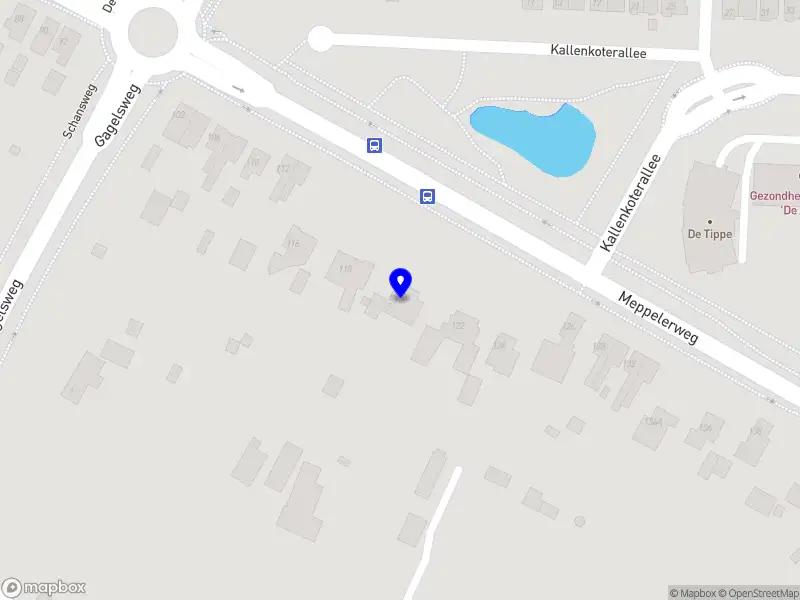 Janny Visser interim & coach