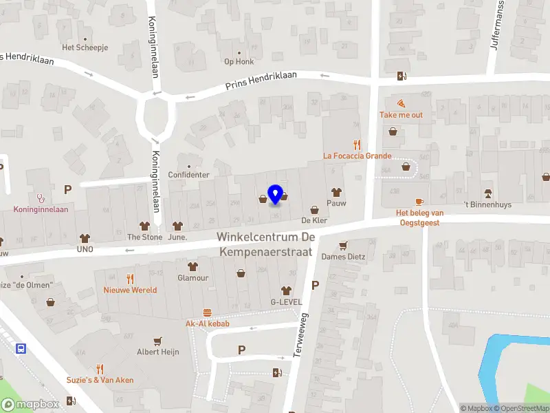 Suzanne van Spijker Journalist