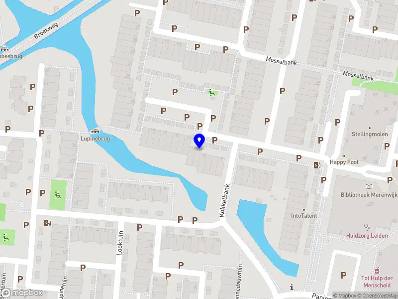 Satori Career Development