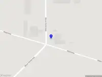 APIS TRADE & POLLINATION B.V