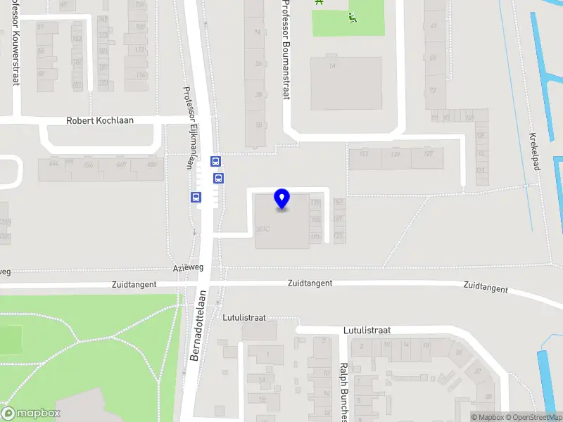 Focus & Delivery Consulting