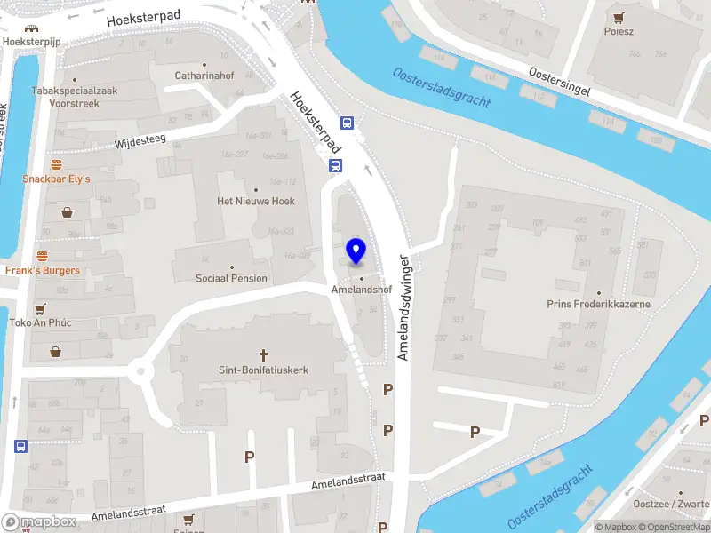 Live Earth Strategies