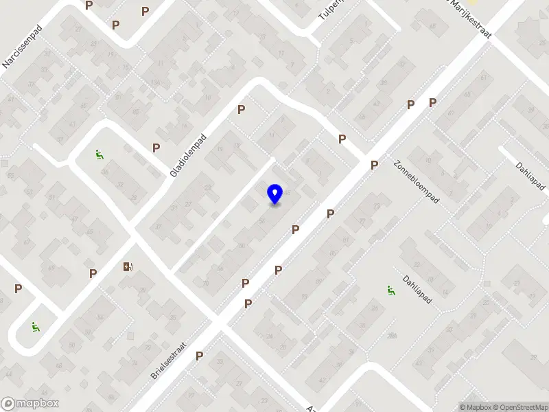 Neele schilderwerken