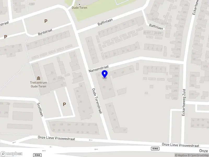 elementi organisatieadvies