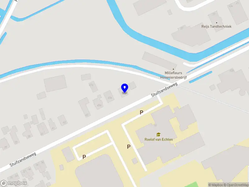 Susan online coaching