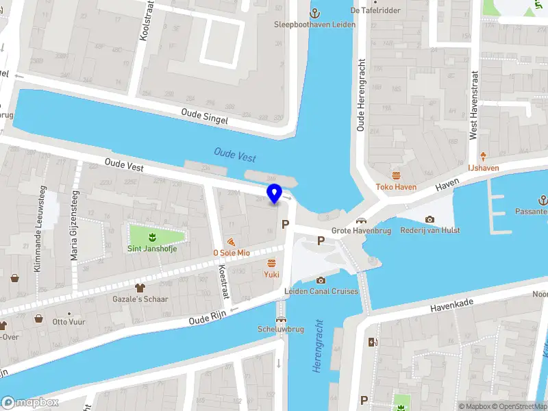 Vereniging van Eigenaars Havenplein 1-A, 1-B, Haarlemmerstraat 274 en 274 A te Leiden