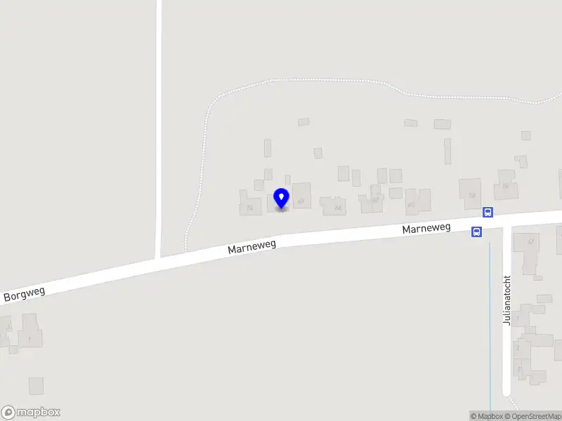 Groninger (Bio) Mosterdzaad Telers