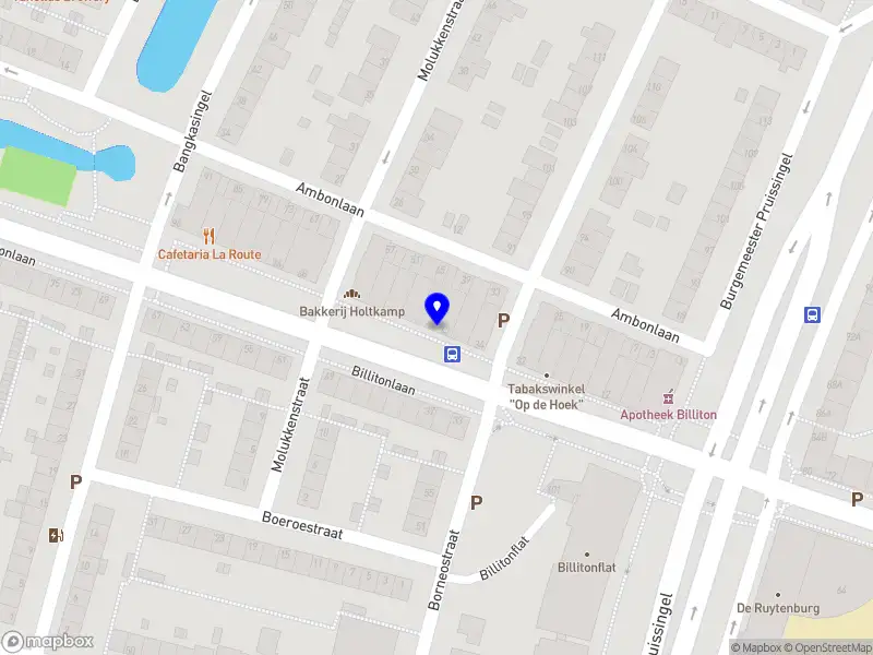 Vereniging van Eigenaren Flat Billitonlaan 42 tot en met 48 (even nummers)/ Ambonlaan 39 tot en met 45 (oneven nummers) te Vlaardingen