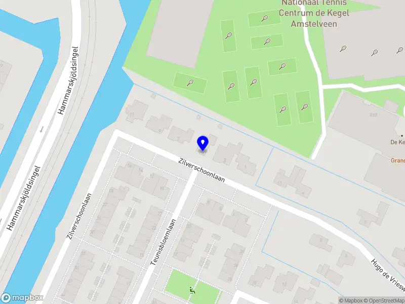 SVS Interim Management