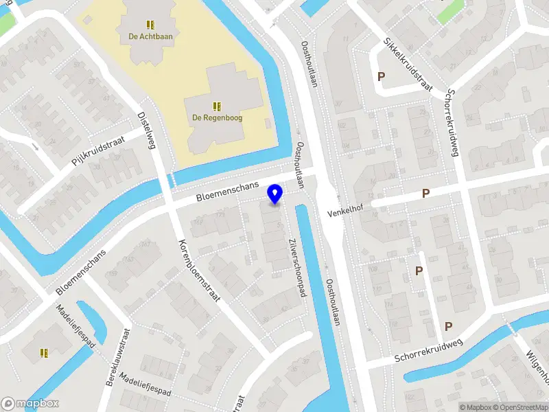 Boshuizen pedagogiek & onderwijs