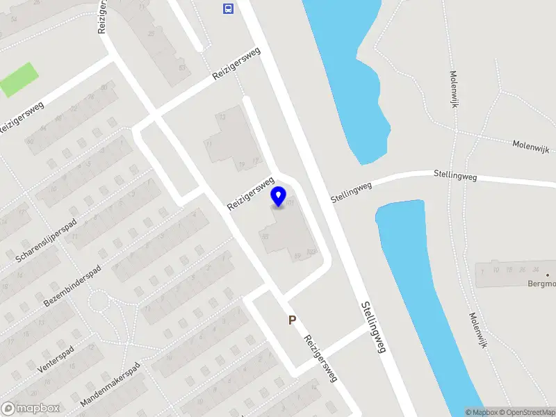 Golden Smaak Holistic Health