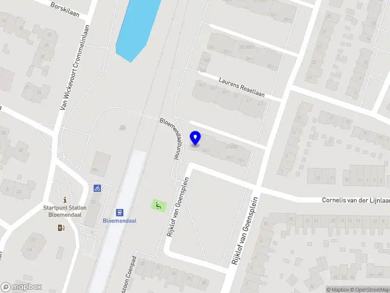 Marieke de Gier, psychologie en supervisie