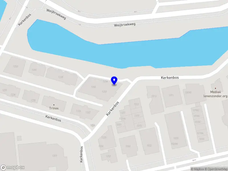 Richmond International B.V.