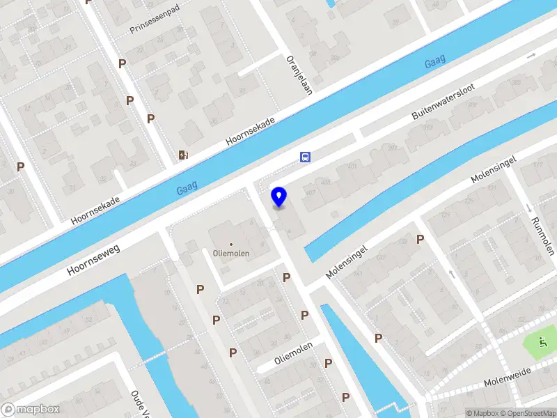 De Vergeten Apotheker