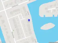 Later Alligator