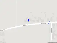 Groninger (Bio) Mosterdzaad Telers