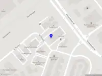 Cognision Consulting