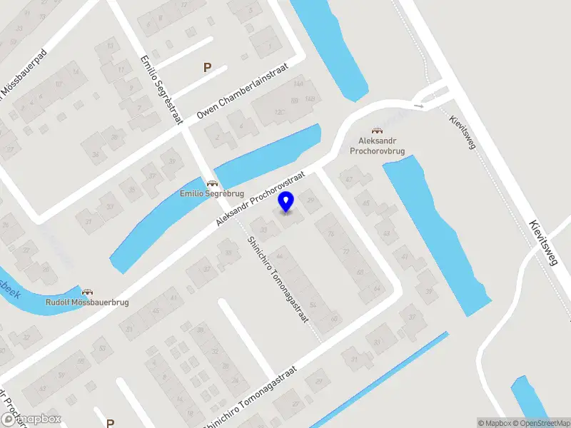 De Stichting van Chinese School Amsterdam