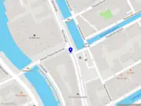 Human Intelligence