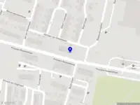 Insaan