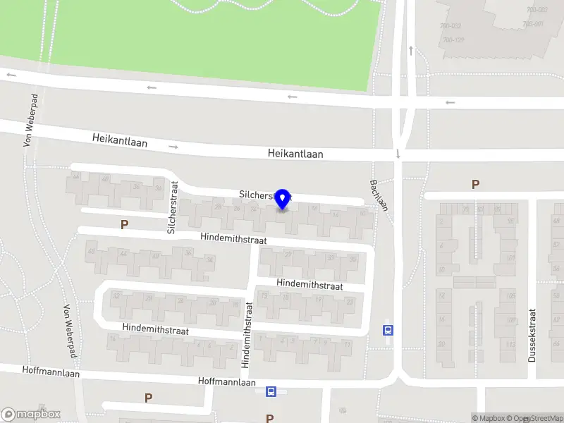 Haarpand 20
