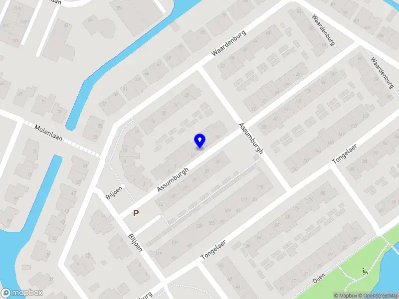 Moments of Joy Photography