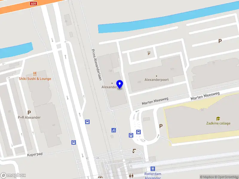 Dimov Company MM