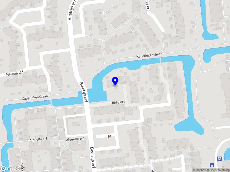 Rapidalis Connect